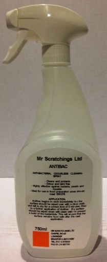 Picture of Mr Scratchings Anti Bacterial (1 x 750ml Trigger Spray)